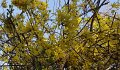 DSC00357 00
